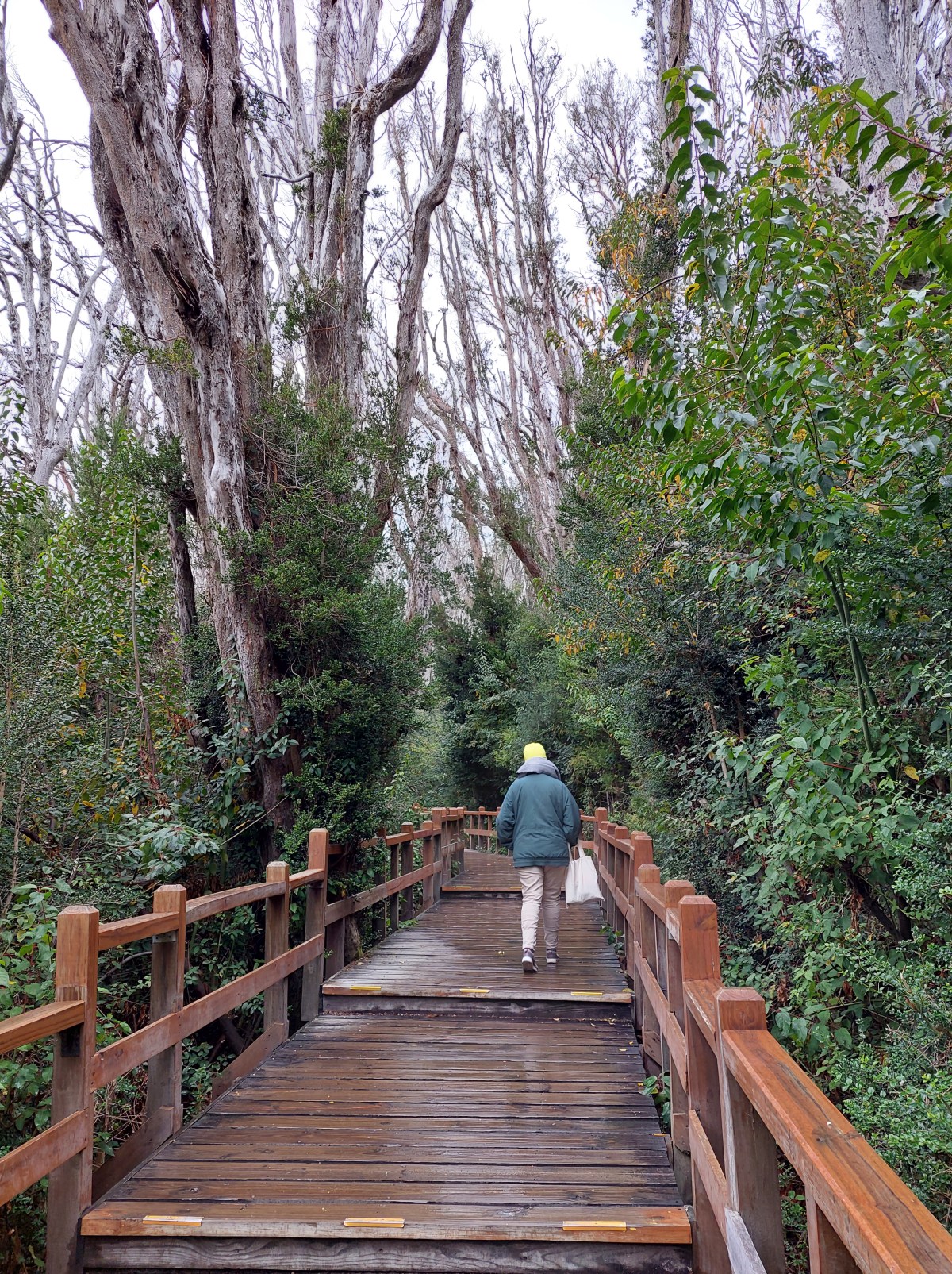 Seis meses después [Parte&nbsp;I]